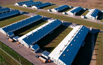 企業(yè)規(guī)模